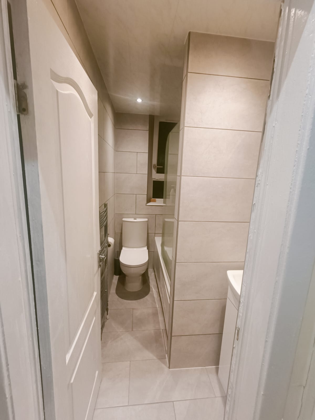 Professional Cleaning